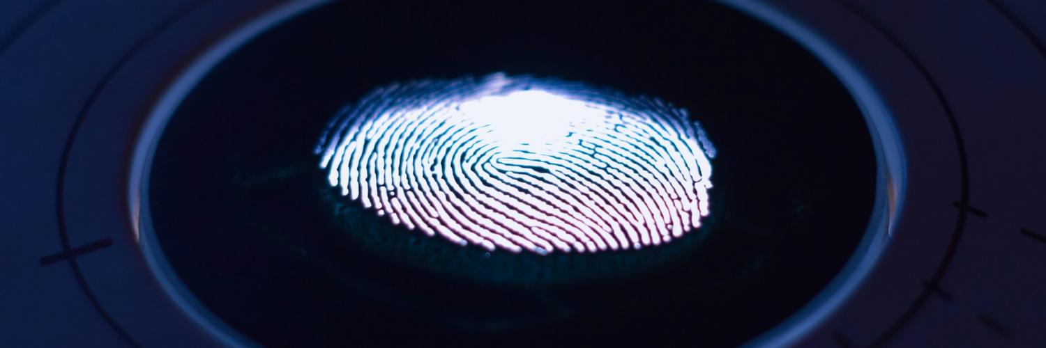 Brand Universe fingerprint