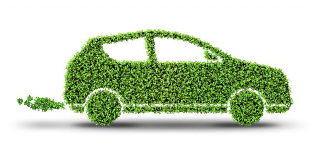 Hydrogen Fuel:an energy storage alternative?